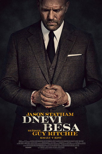 Dnevi besa
