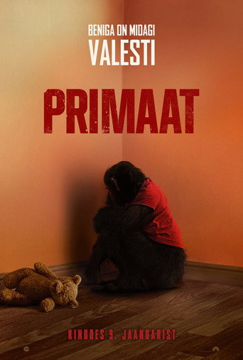 Primate