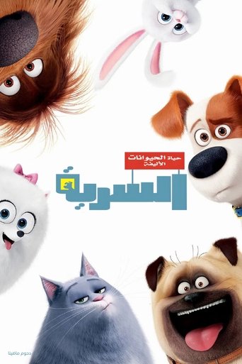 الحياة السرية للحيوانات الأليفة