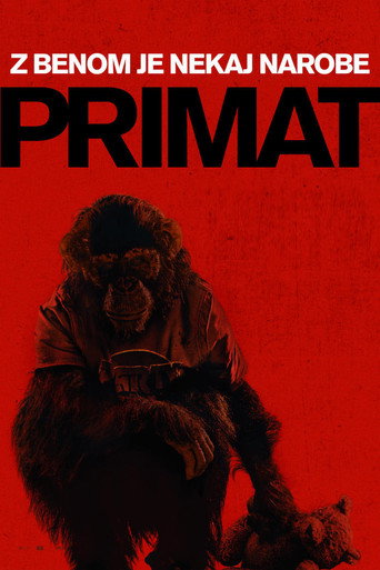 Primat